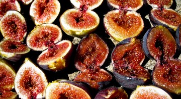 Endless figs for dehydrating
